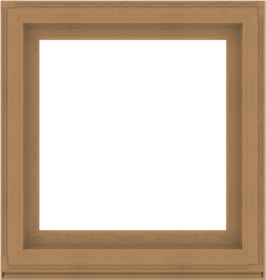 WDMA 38x40 (37.5 x 39.5 inch) Composite Wood Aluminum-Clad Picture Window without Grids-1