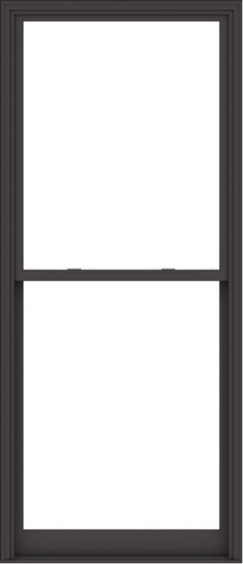 WDMA 44x102 (43.5 x 101.5 inch)  Aluminum Single Hung Double Hung Window without Grids-3