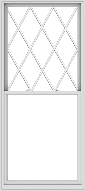WDMA 48x108 (47.5 x 107.5 inch)  Aluminum Single Double Hung Window with Diamond Grids