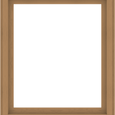 WDMA 48x56 (47.5 x 55.5 inch) Composite Wood Aluminum-Clad Picture Window without Grids-1
