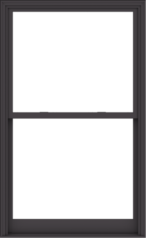 WDMA 48x78 (47.5 x 77.5 inch)  Aluminum Single Hung Double Hung Window without Grids-3