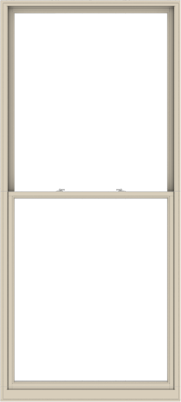 WDMA 54x120 (53.5 x 119.5 inch)  Aluminum Single Hung Double Hung Window without Grids-2