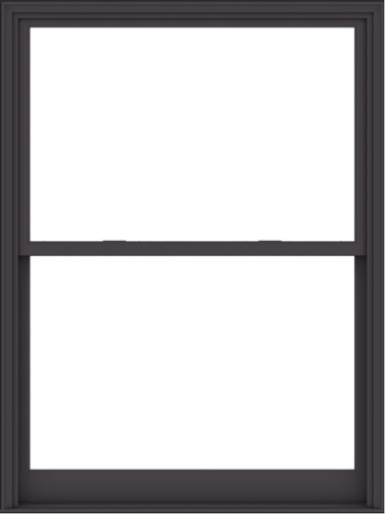 WDMA 54x72 (53.5 x 71.5 inch)  Aluminum Single Hung Double Hung Window without Grids-3