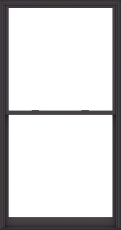 WDMA 60x114 (59.5 x 113.5 inch)  Aluminum Single Hung Double Hung Window without Grids-3