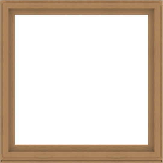 WDMA 64x64 (63.5 x 63.5 inch) Composite Wood Aluminum-Clad Picture Window without Grids-1